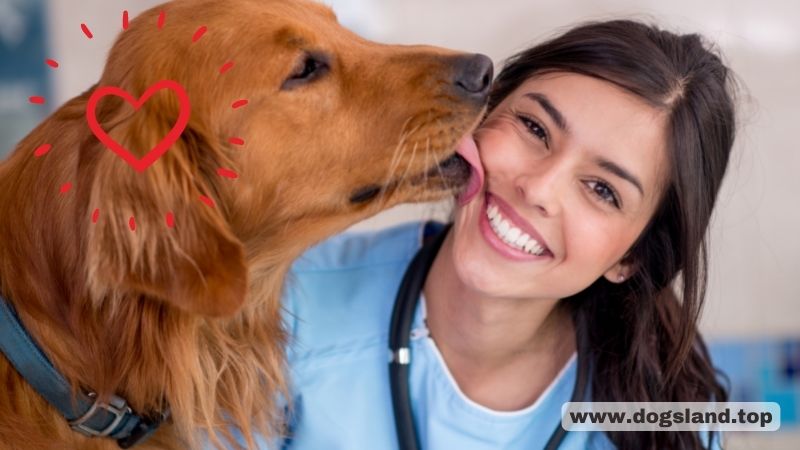 Dog Bad Breath - Reasons & Treatments