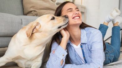 Dog Bad Breath: Why It Occurs and How to Fix It